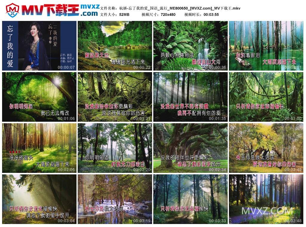 杭娇-忘了我的爱_国语_流行_ME800650